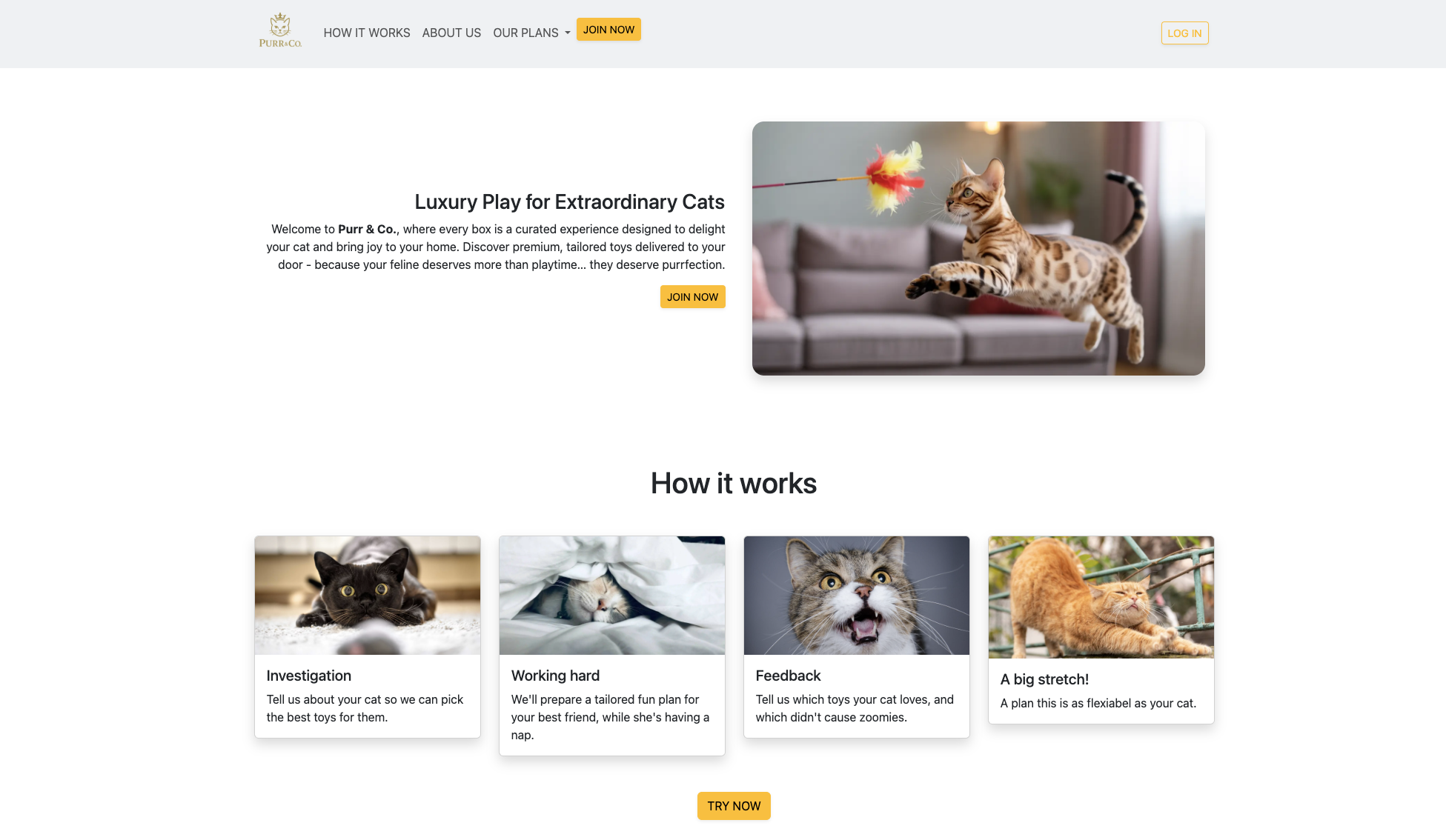 Screenshot of the currency exchange project.